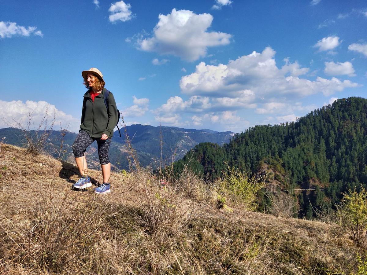 Neha Homestay シムラー エクステリア 写真