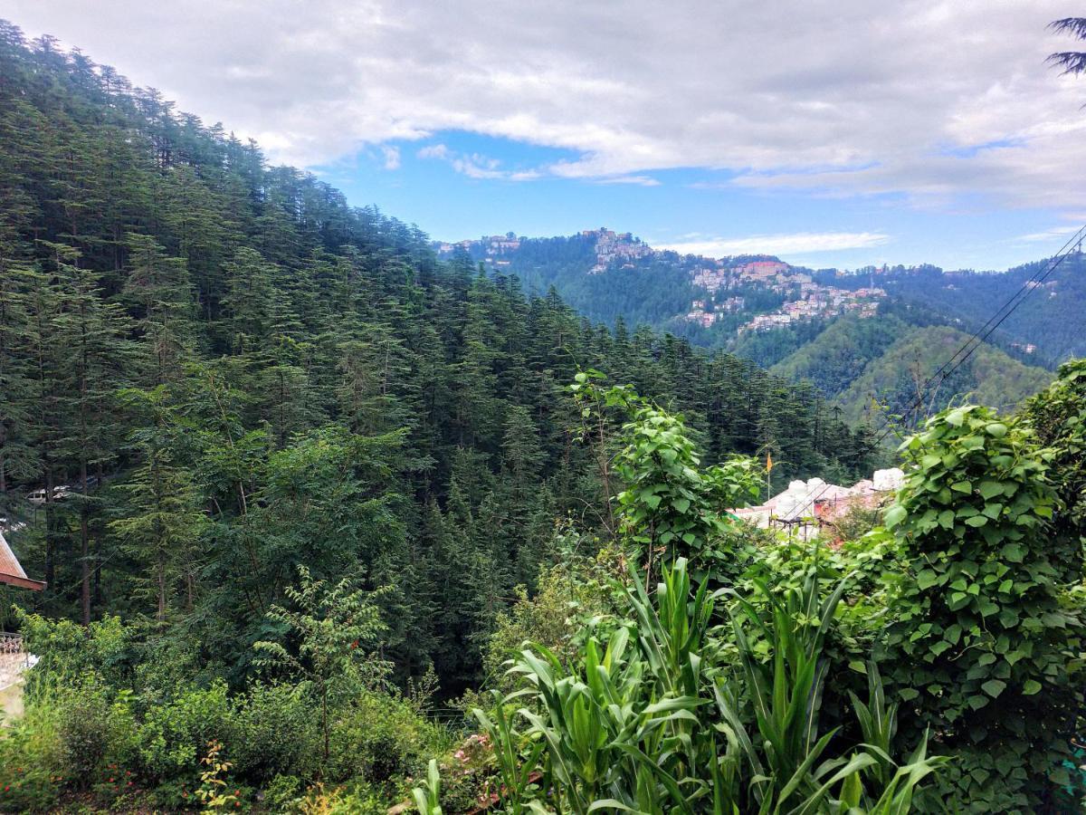Neha Homestay シムラー エクステリア 写真