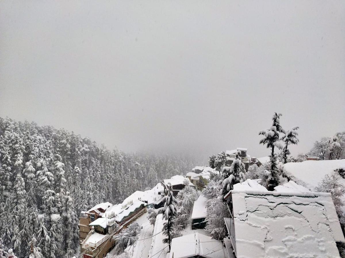 Neha Homestay シムラー エクステリア 写真