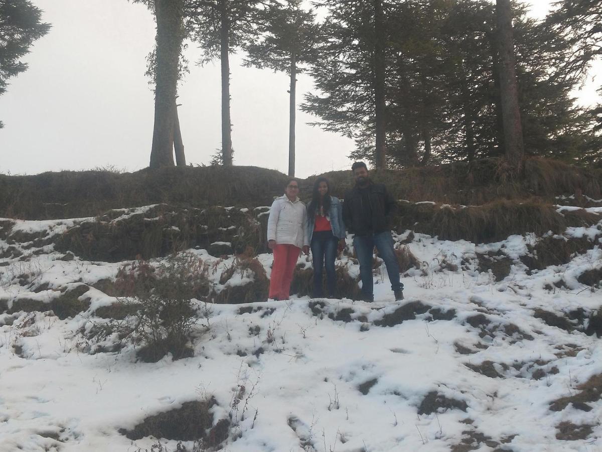 Neha Homestay シムラー エクステリア 写真