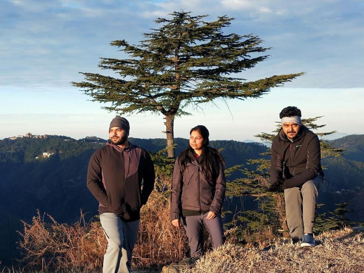Neha Homestay シムラー エクステリア 写真