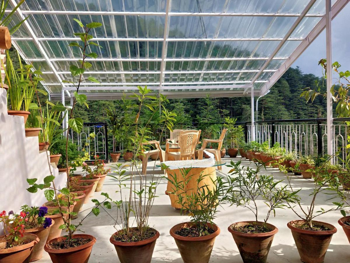 Neha Homestay シムラー エクステリア 写真