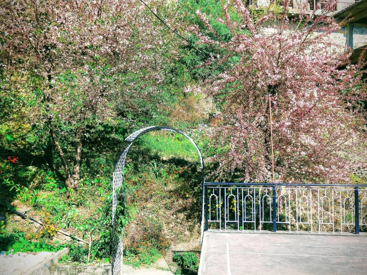 Neha Homestay シムラー エクステリア 写真