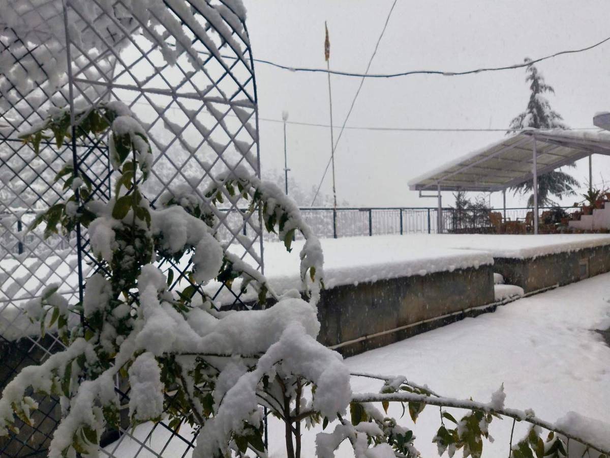 Neha Homestay シムラー エクステリア 写真